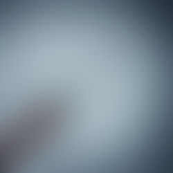 Novo Pushes High-Dose Wegovy via Fast-Tracked FDA Approval 