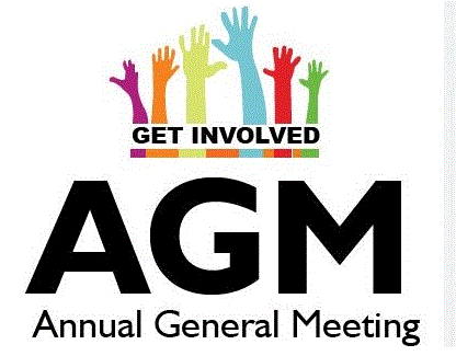 AGM Capture.GIF
