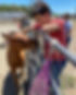 leaphorse.jpg