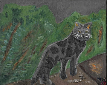 Wandering Stray (3).jpg