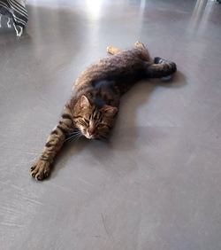 IMG_2368_edited_edited_edited