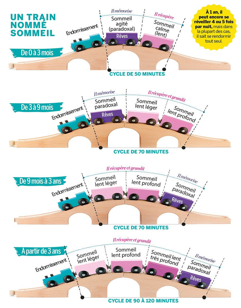 Comprendre le sommeil de l'enfant