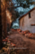 Sinceramente.. lo trovo magico!