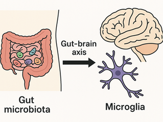 🧠 Microglie & Microbiote : un duo de choc qui fait la santé du cerveau 