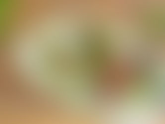 Gegrilde entrecote met salsa verde