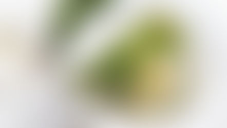 Risotto met groene asperges & citroen