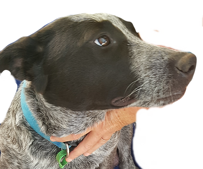 Jill Mum (1)_edited_edited.png