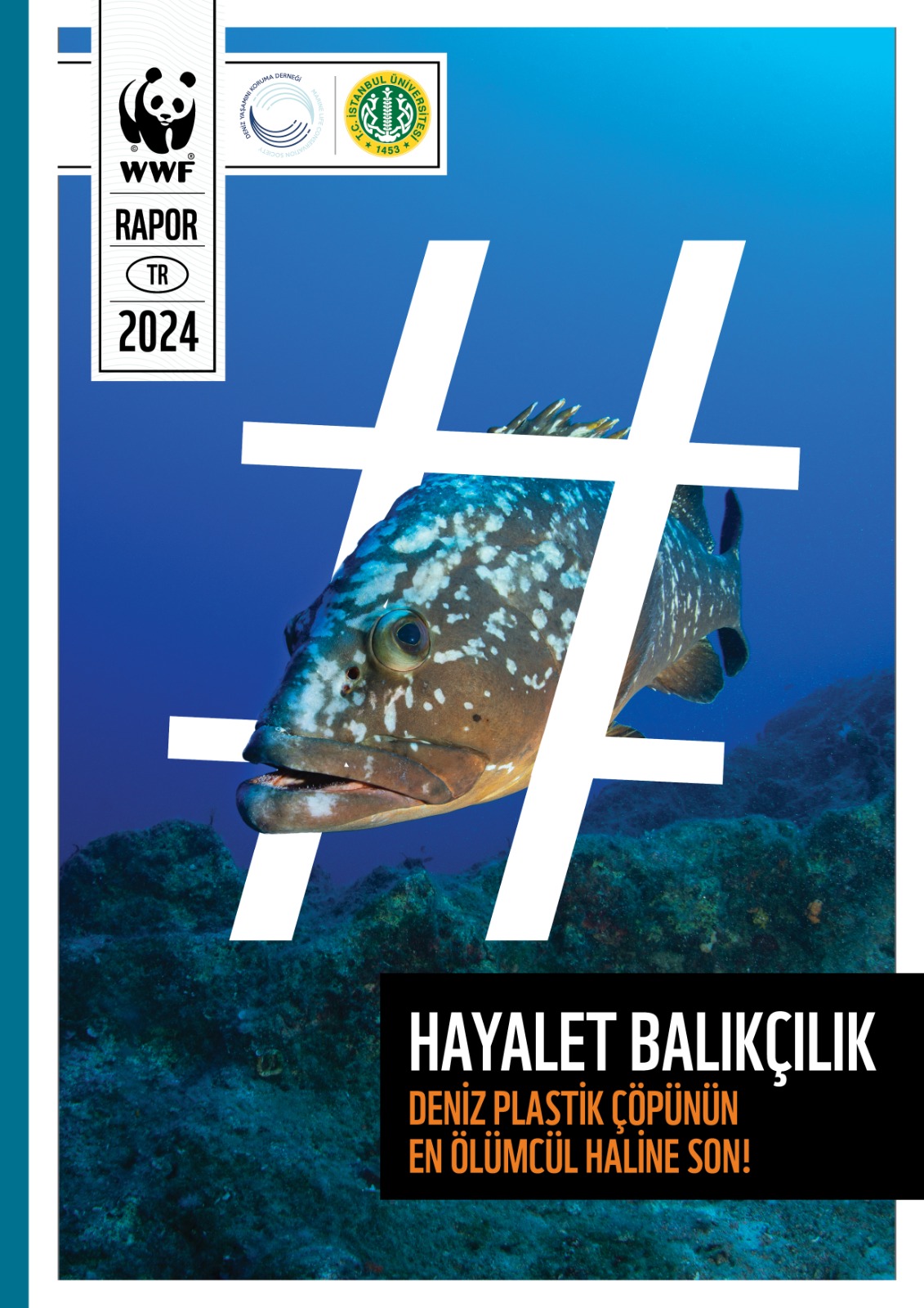 hayalet-bal-kc-l-k-rapor-kapak_1_1.jpg