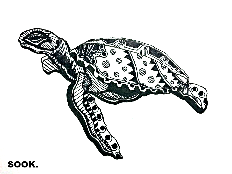토끼친구 거북이 (the Turtle)