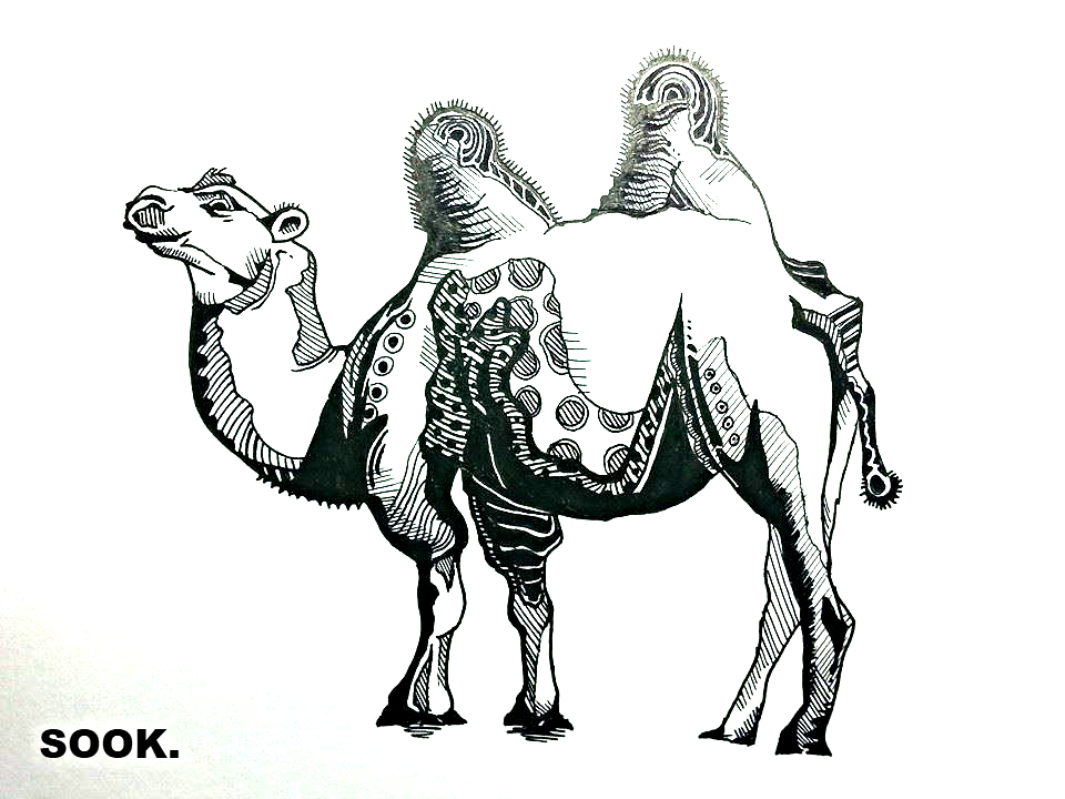 쌍봉낙타 (the Two-humped camel / 雙峯駱駝)