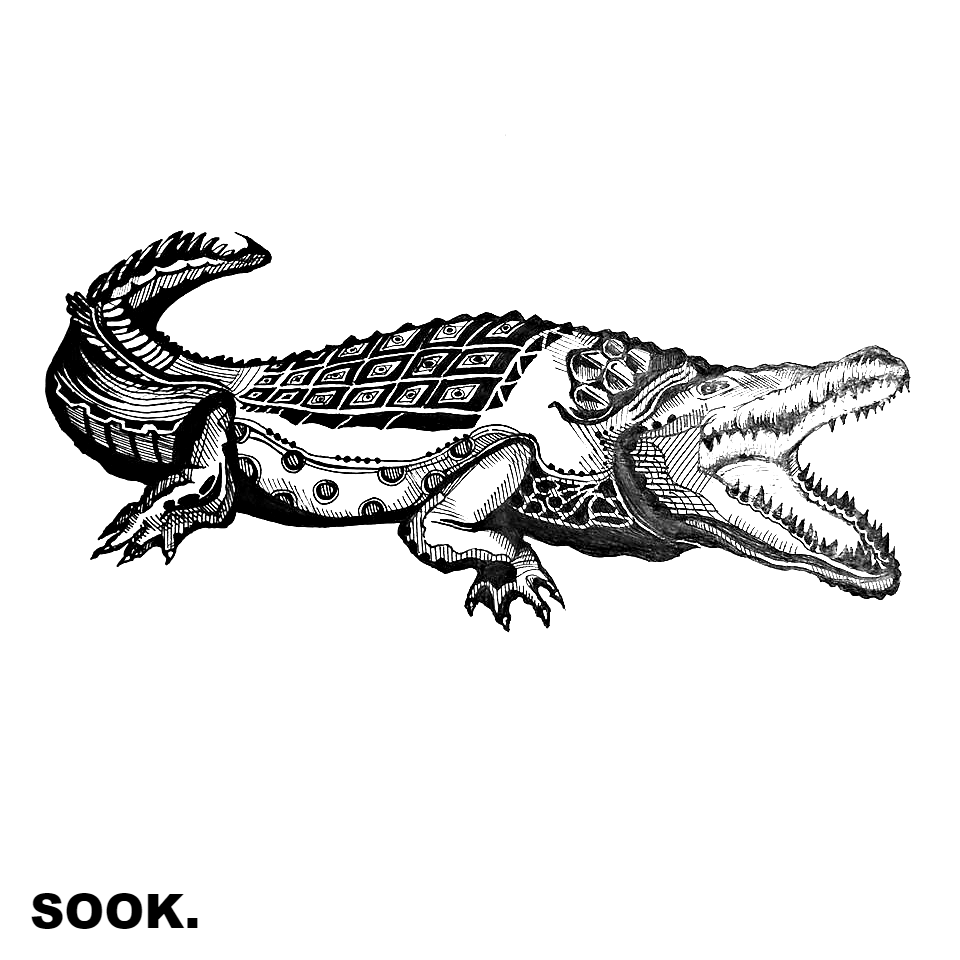 악어 (See you later, aligator)