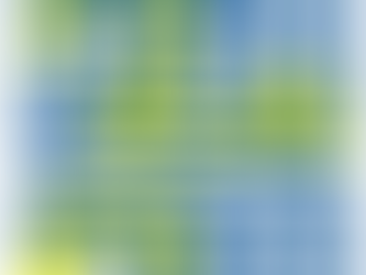 WEB Project Brainstorm Blog