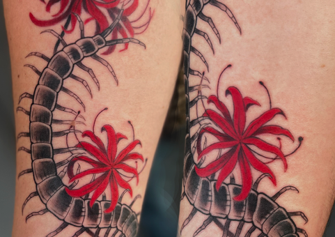 Centipede and red spider lilies tattoo