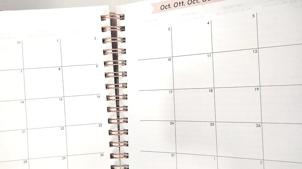 Miniatura: Agenda planner 2023-24 tricostal