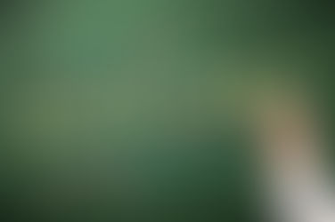 Social media and open access as a new form of peer review