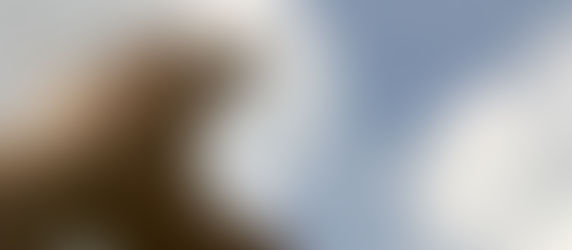 Lesson #7: Try to assess how much potential participants of a capacity building activity are genuine