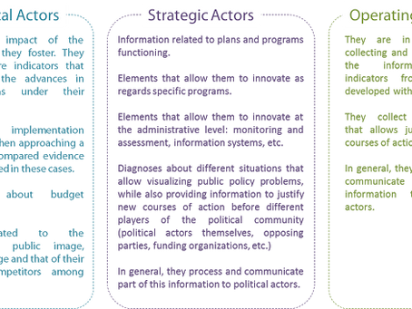 Policymakers: unravelling a heterogeneous world