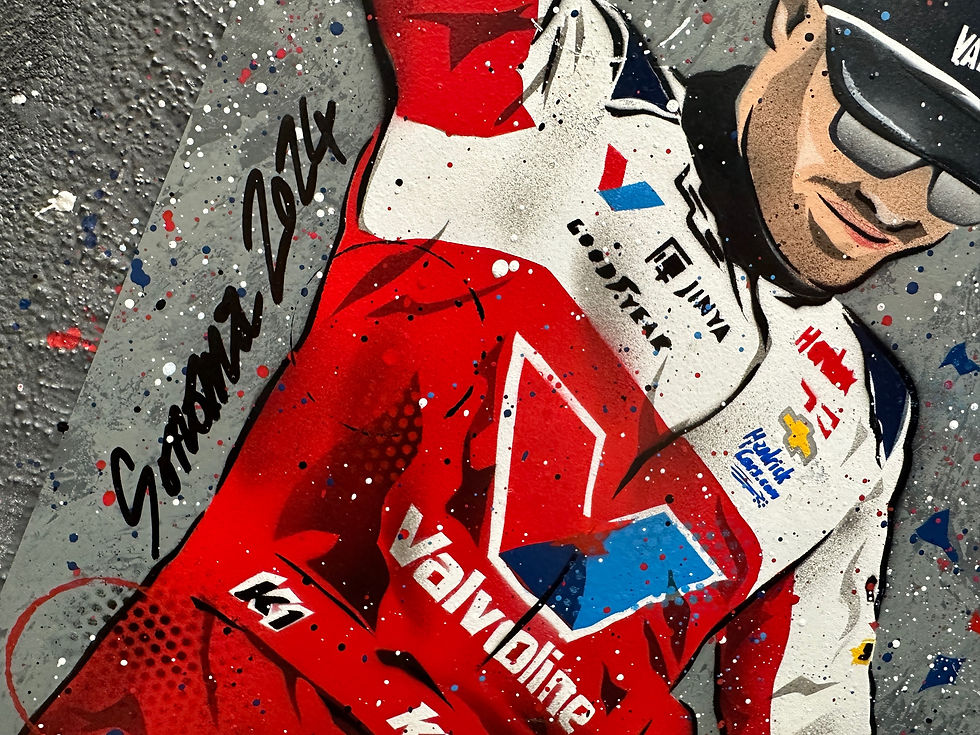 Miniatura: Kyle Larson, Sonoma 2024, NASCAR - Graffiti Paintin