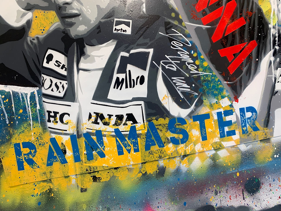 Miniatura: SENNA, DESIGNED TO WIN - One off A1 sized graffiti painting