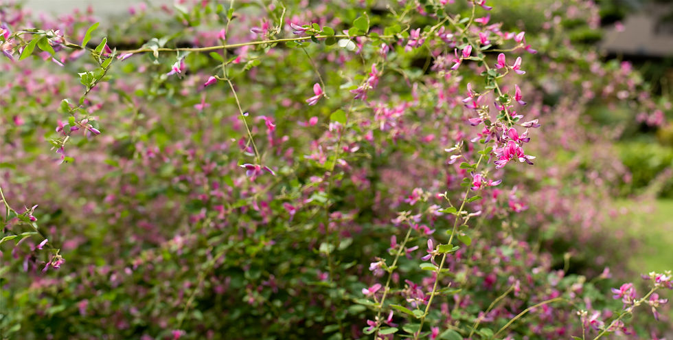 表紙_SQ_E_28-40P のコピー.jpg