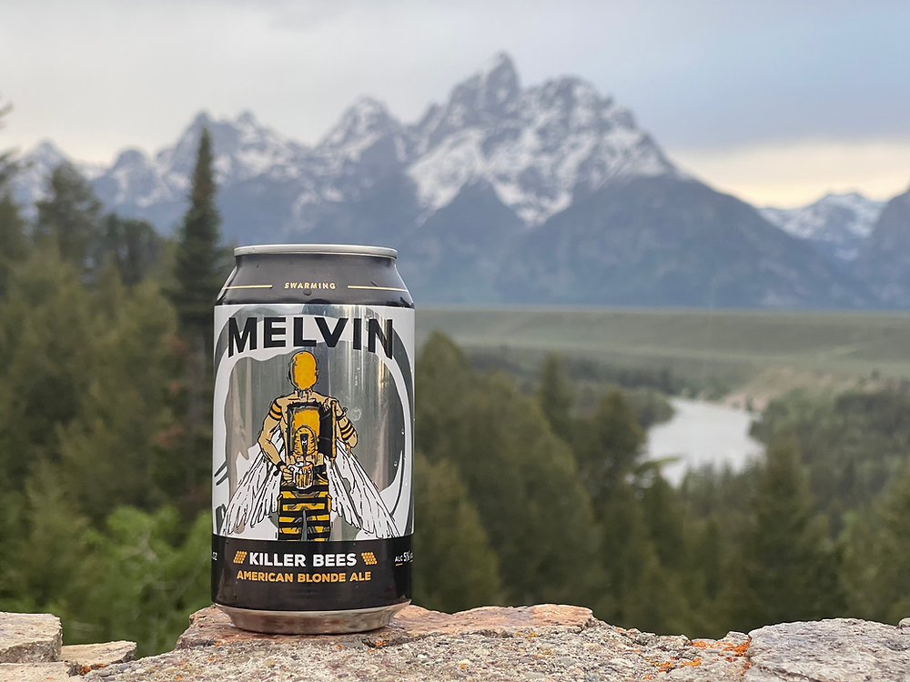 Beer of the Week #13: Melvin Brewing Killer Bees American Blonde Ale