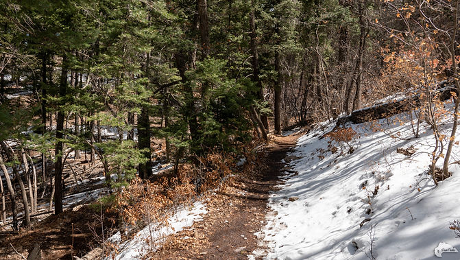 TrestleTrailM3.jpg