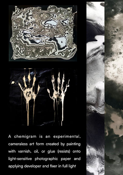 Chemigram factfile IMAGE.2.jpeg