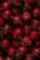 AdobeStock_686104845.jpeg