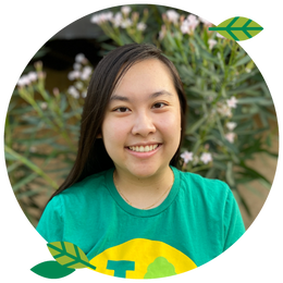 West Hub Spoke Graduate Student Contributes to LA Tree Canopy Project