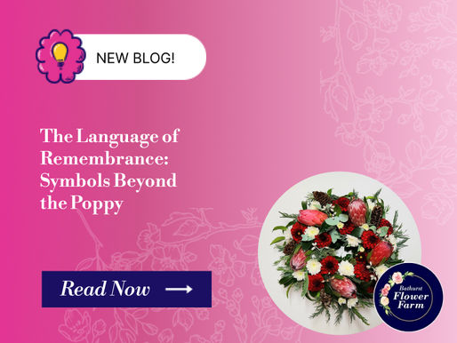 The Language of Remembrance: Symbols Beyond the Poppy