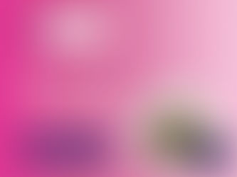 Why a Bathurst Flower Farm eGift Card is the Ultimate Gift for Any Occassion