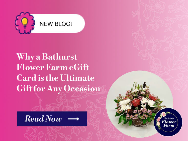 Why a Bathurst Flower Farm eGift Card is the Ultimate Gift for Any Occassion