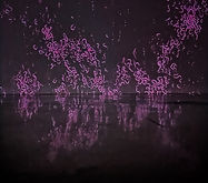 IMG_6976.jpeg