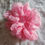 Thumbnail: Pink Lace Scrunchie