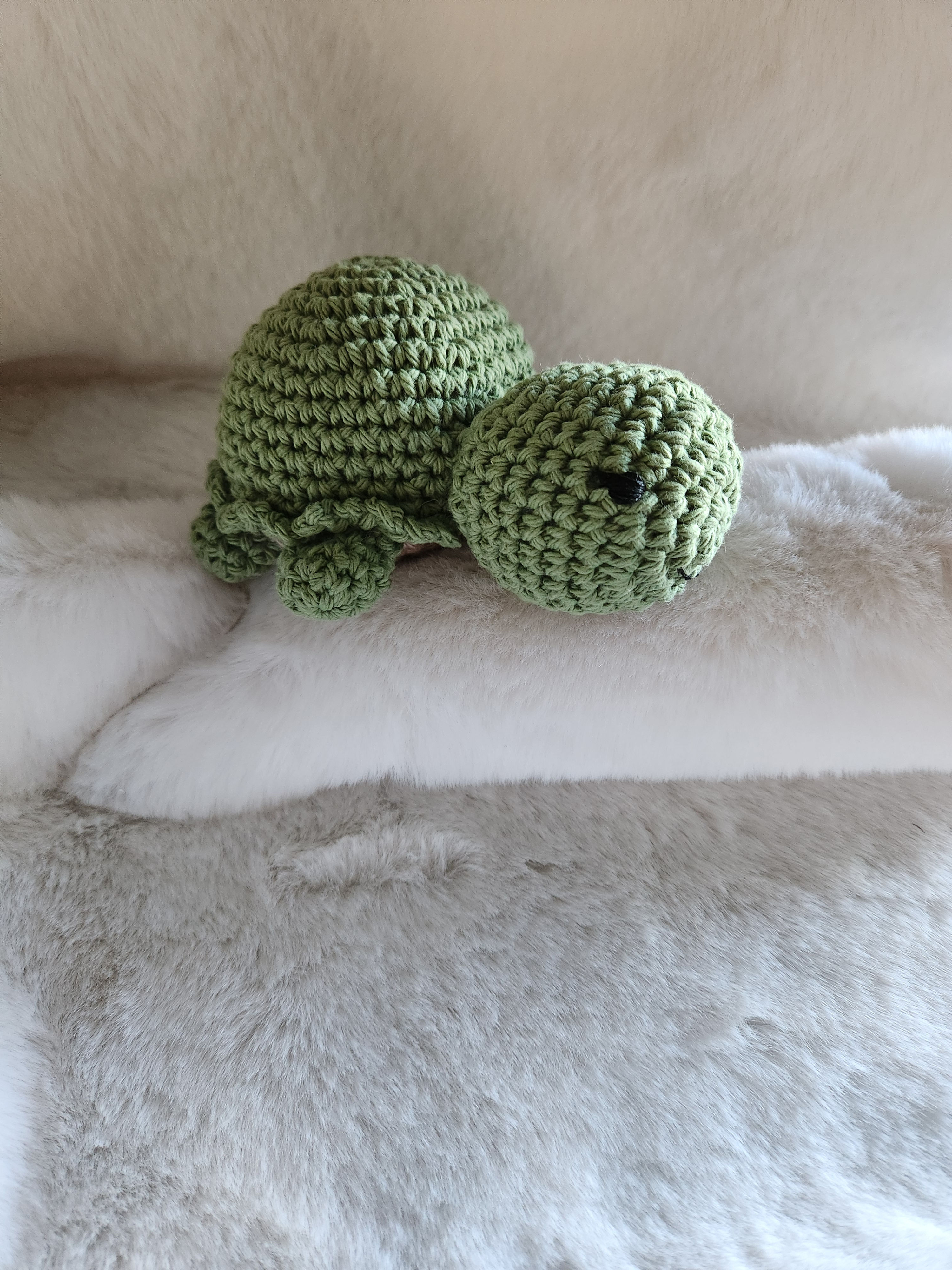 Green Turtle Stuffy