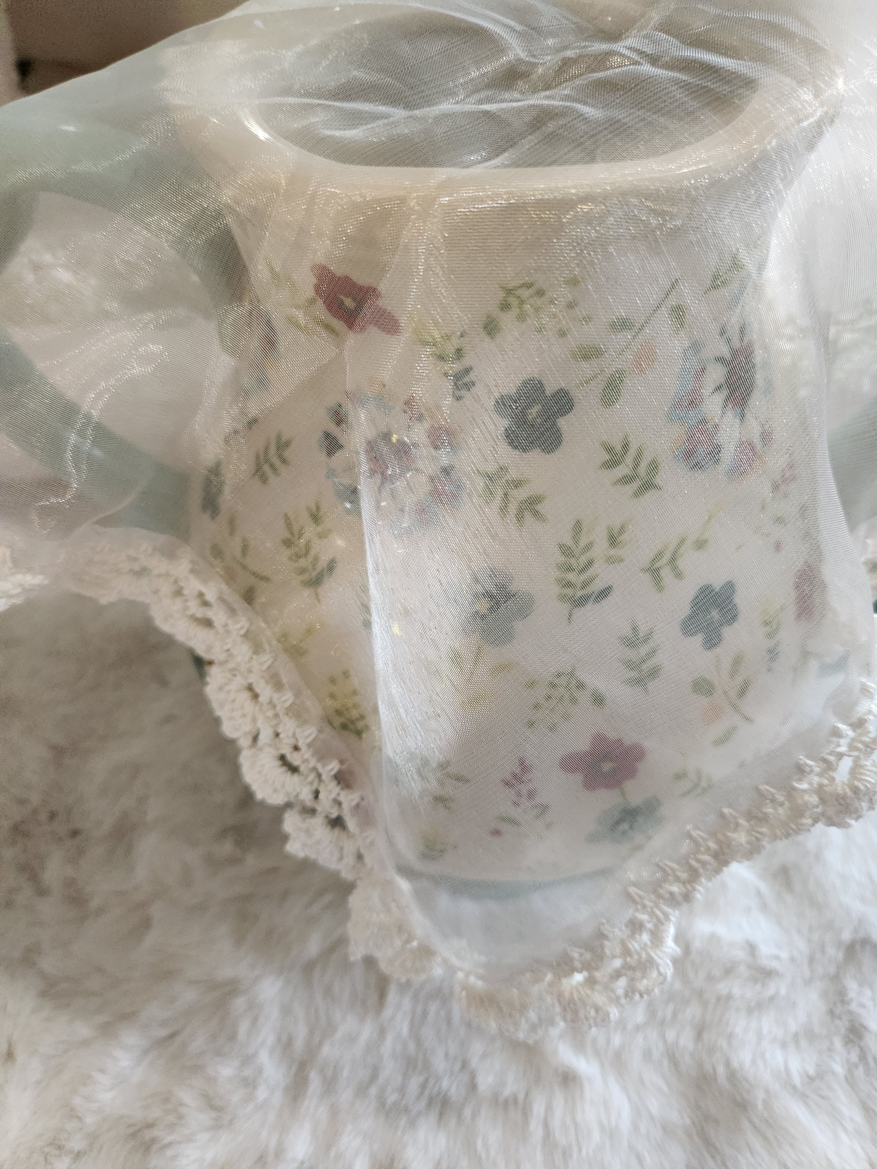 Sheer Covering with Crochet Edges