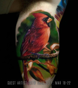 Guest Artist Drew Shurtleff