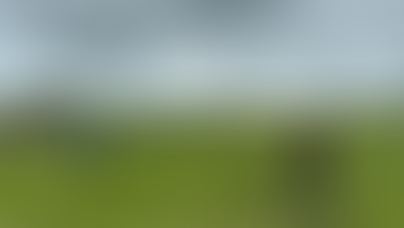 Visit to the Permaculture Project "Tadzuka" in Kampatha – 06.03.2025