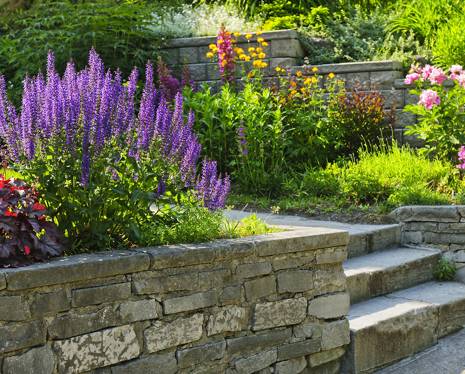 garden.png