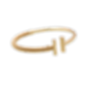 goud gilde (7).png