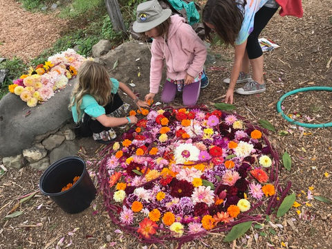 Photo- school gardens. flower mandala.jpeg
