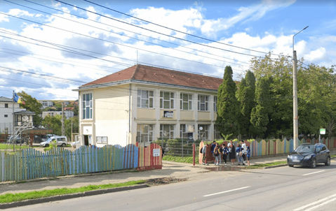 Școala Veronica Micle Bucium