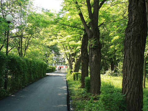 Parcul Copou Iași