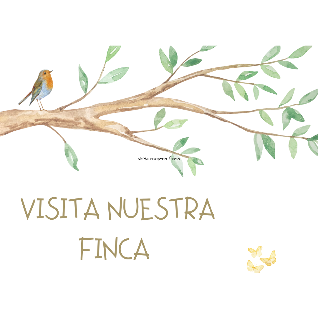 Visita nuestra finca