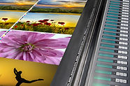 AdobeStock_80462045.jpeg