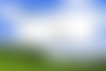 Desktop Palsu