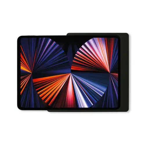 Companion Wall Home for iPad Pro