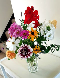 CLASS 7 FRESH FROM MY GARDEN June Knigh