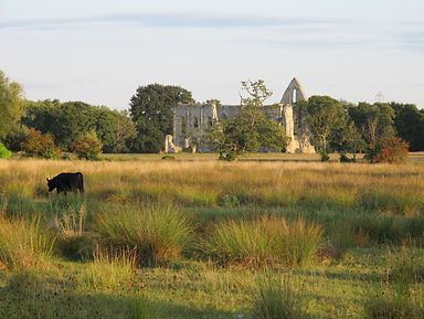 Newark Priory David Clubley.JPG