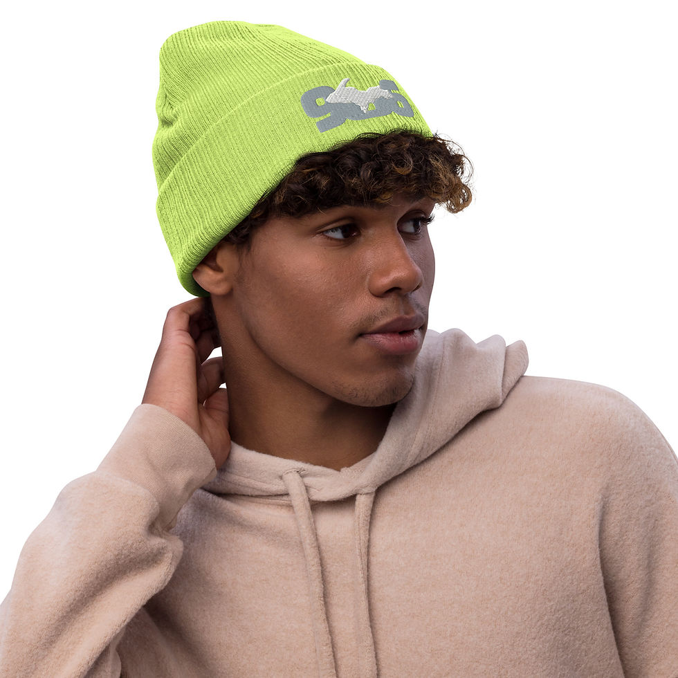 Thumbnail: 906 Upper Peninsula Ribbed Knit Beanie